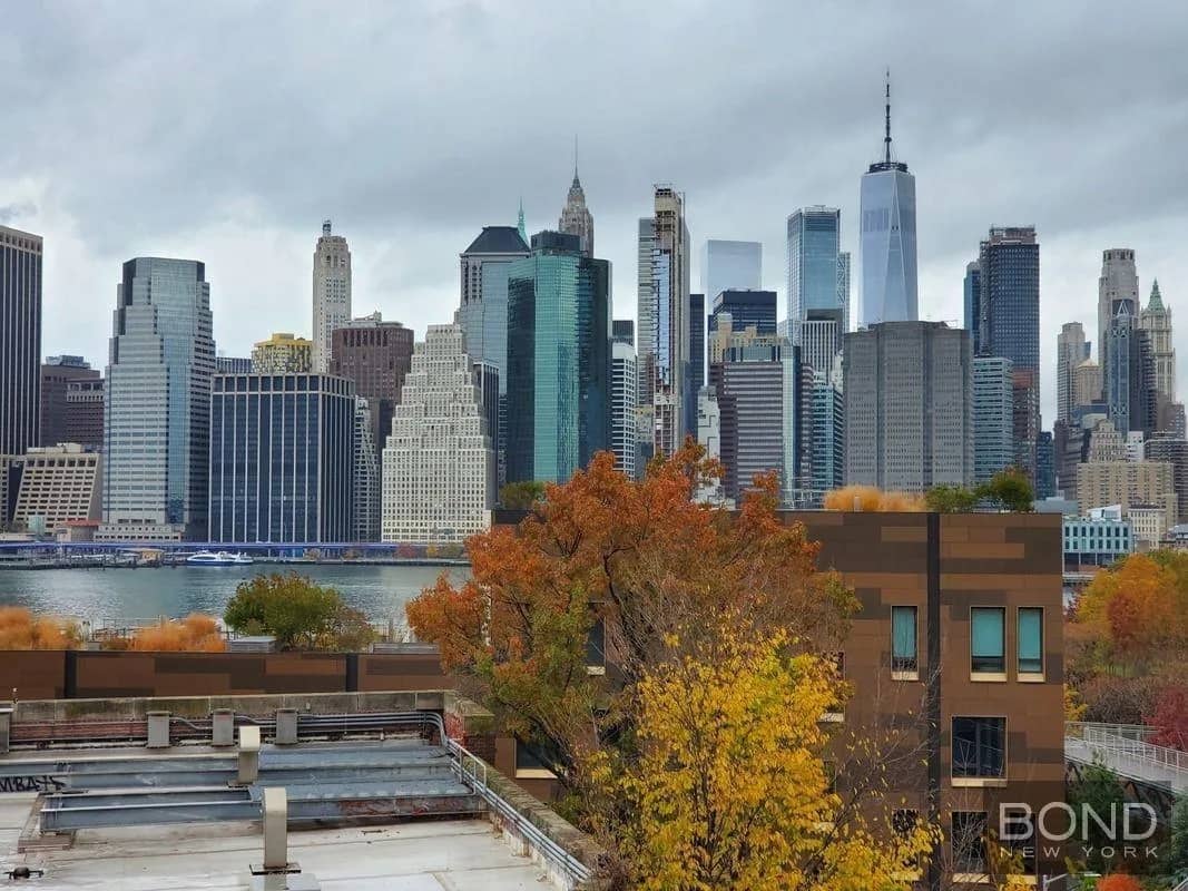 2 bed apartment in Roosevelt Island