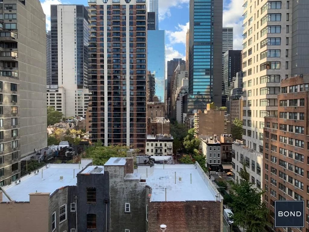 1 bedroom in Midtown East, Manhattan, photo 14