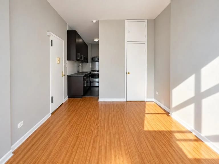 1 bedroom in East Harlem, Manhattan, photo 2