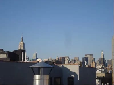 3 bedrooms in East Village, Manhattan, photo 5